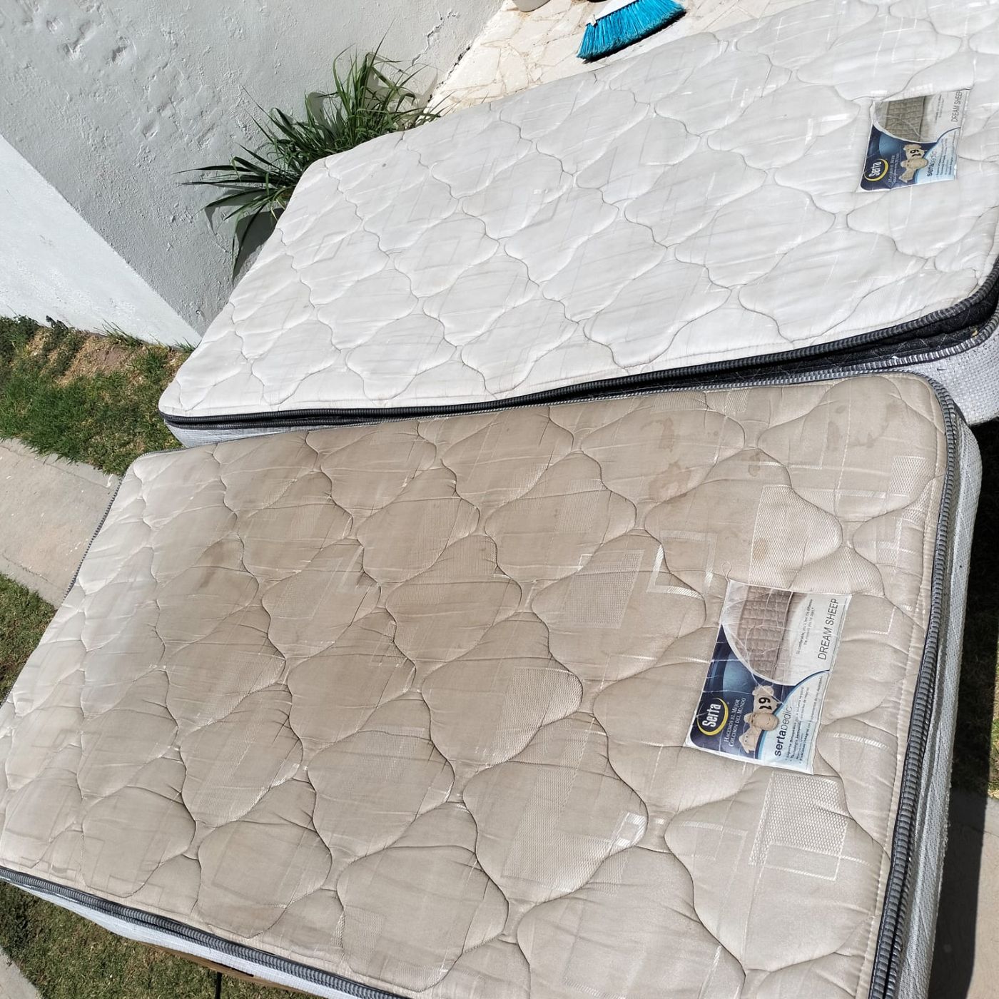 Lavado y desinfección de colchones en Durango — NanoDEPOT